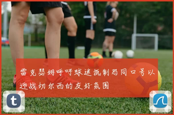 雷克瑟姆呼吁球迷抵制恐同口号以迎战切尔西的友好氛围